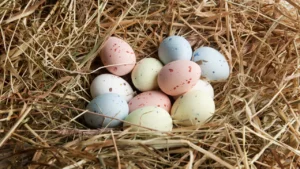 easter egger chicken breed