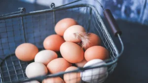 All About the Silver Laced Polish Chicken