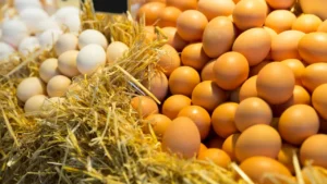 How to Store Fresh Eggs